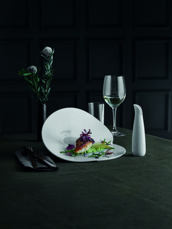 Assiette plate rond blanc porcelaine culinaire Ø 25 cm Canopee Pillivuyt
