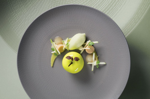 Assiette coupe plate rond Terre d'ombre grès émaillé Ø 28 cm Modulo Nature Degrenne