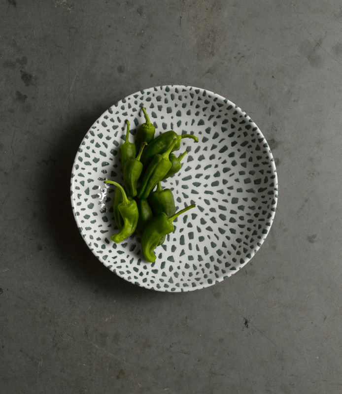 Assiette coupe plate rond vert porcelaine vitrifiée Ø 21,7 cm Terrazzo Dudson