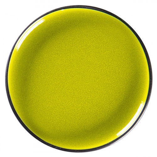 Assiette plate rond vert porcelaine vitrifiée Ø 15,7 cm Fire Rak