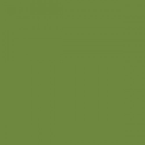 Serviette vert feuille non tissé 40x40 cm Bio Dunisoft Duni (60 pièces)