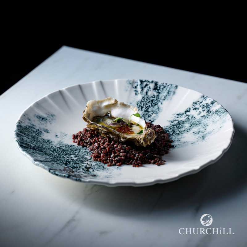 Assiette coupe plate porcelaine vitrifiée Ø 21 cm Smoke Churchill